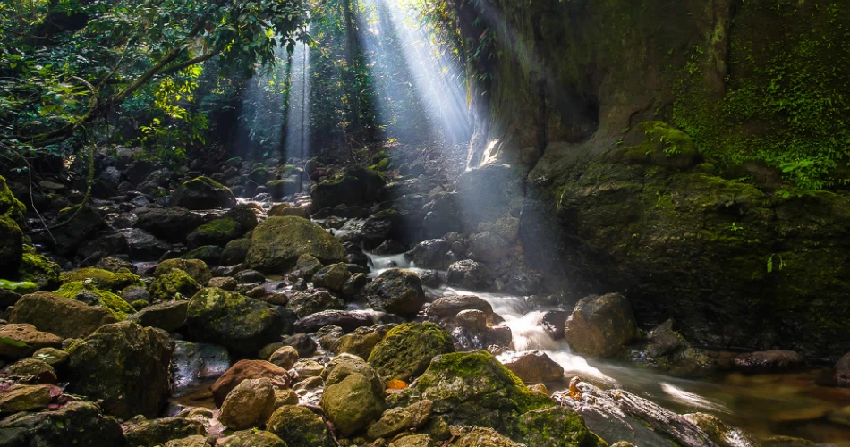 Best 10 Things to Do in & Nearby Santa Cruz De La Sierra