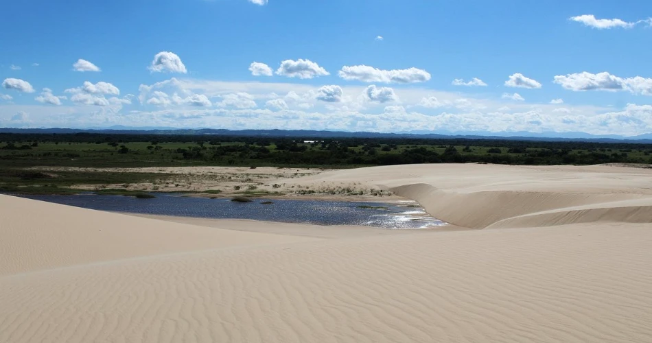 Best 10 Things to Do in & Nearby Santa Cruz De La Sierra